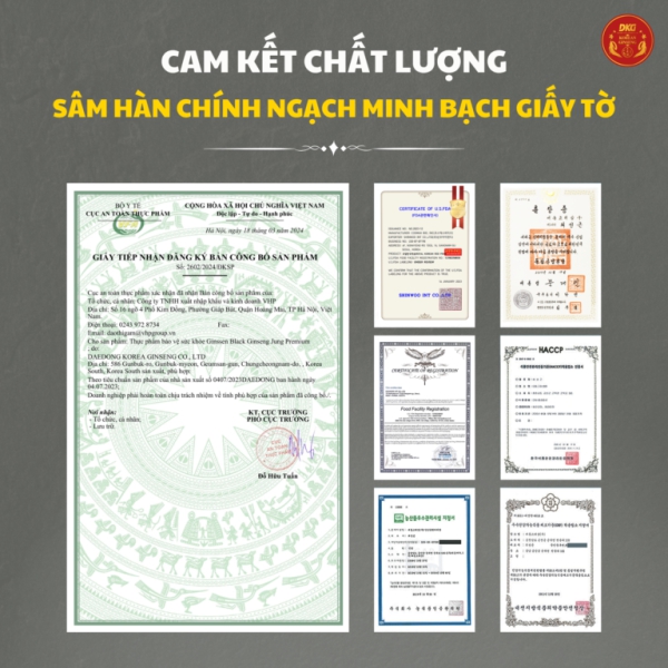 Hắc sâm HQ cao cấp 12mg/g (10mlx30 stick) - Daedong giúp tăng đề kháng, bồi bổ thể lực, giảm mệt mỏi và phục hồi cơ thể nhanh chóng.