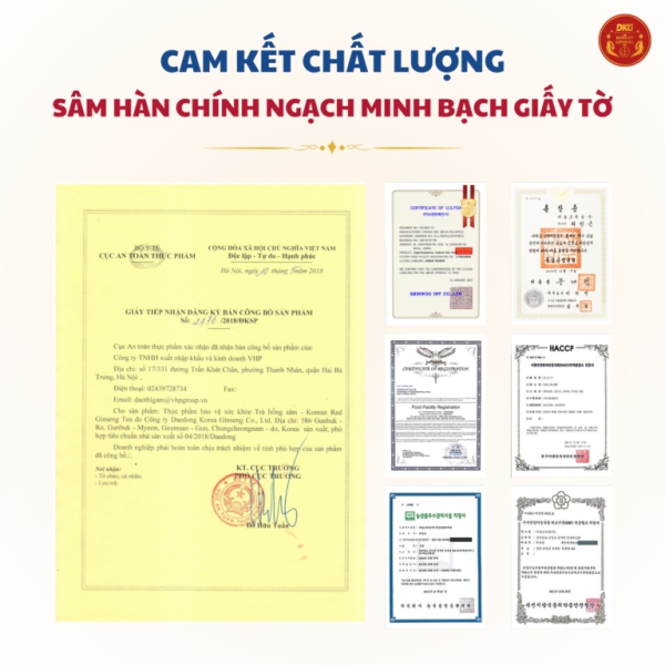 Trà Hồng Sâm Korean Red Ginseng Tea (Hộp 100 Gói x 3g) – Giúp bồi bổ cơ thể và tăng cường tỉnh táo