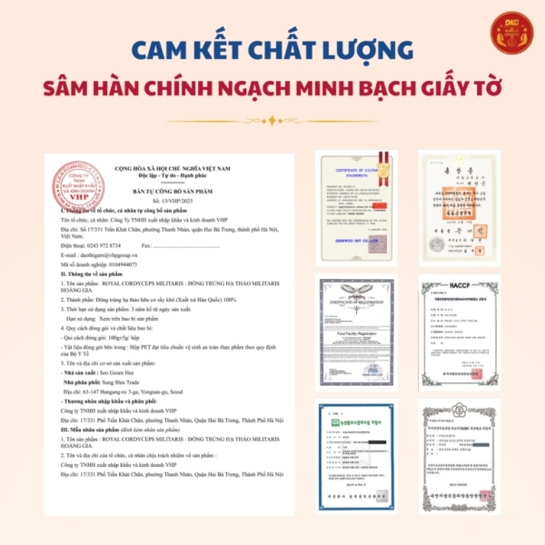 Đông trùng hạ thảo Militaris Hoàng Gia (100g/lọ) chiết xuất 100% nấm hữu cơ nhập khẩu Hàn Quốc giúp đại bổ cơ thể, ích phế bổ thận và nâng cao miễn dịch.