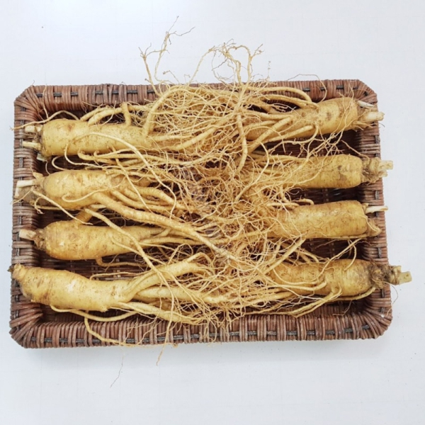 Nhân Sâm Củ Tươi Hàn Quốc Loại 8 Củ/Kg: Giải Pháp Bồi Bổ Tiết Kiệm, Tươi Mới Hàng Ngày