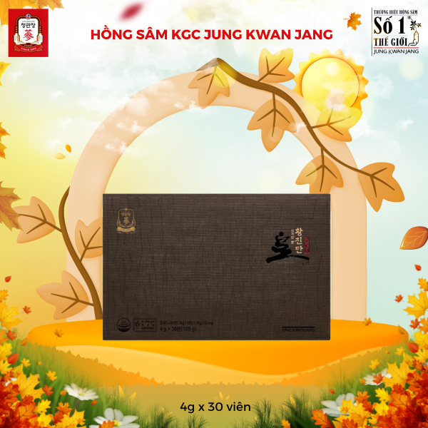 Hồng Sâm Linh Đan KGC Hwang Jin Dan 4 g x 30 Viên