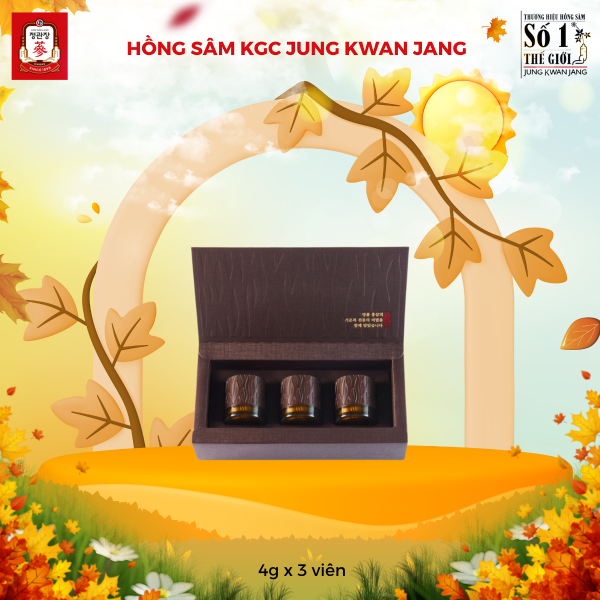 Viên Hồng Sâm Linh Đan KGC Hwangjindan 3 Viên – Tuyệt Tác Đại Bổ Khí Huyết, Tăng Cường Sinh Lực Và Trường Thọ