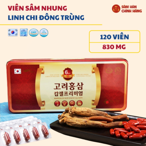 Viên Hồng Sâm Daedong Thượng Hạng phối ngũ nhung hươu, nấm linh chi và đông trùng hạ thảo giúp tăng đề kháng, bồi bổ cơ thể và phục hồi thể lực.