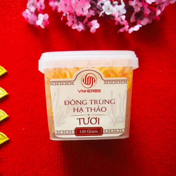 Đông Trùng Hạ Thảo Tươi hộp 150g có đế – Thực phẩm vàng cho sức khỏe