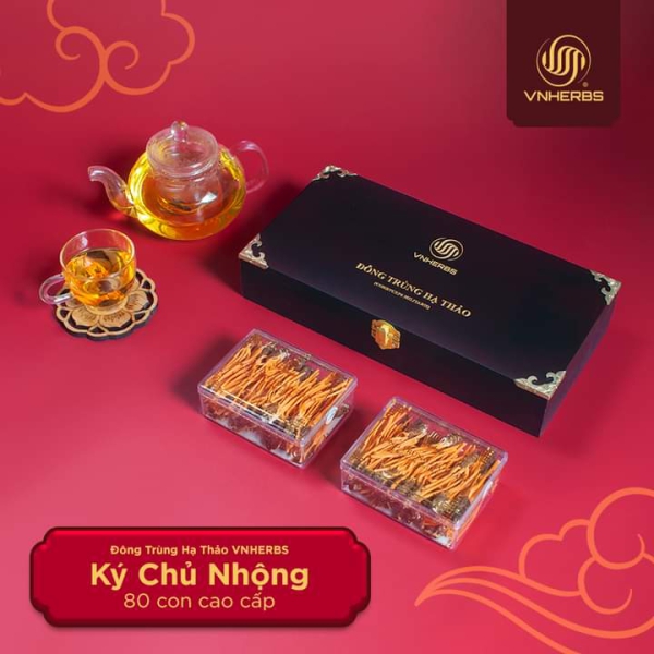 Đông Trùng Hạ Thảo Ký Chủ Nhộng hộp gỗ 80 con – Quà biếu sức khỏe cao cấp