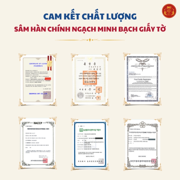 Set Quà Tết DKG.02 – Quà Tặng Sức Khỏe Cao Cấp