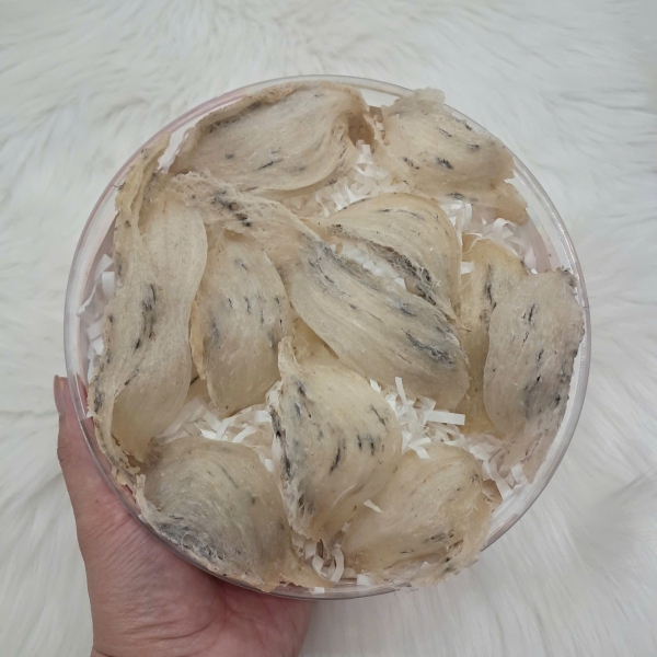 Yến Thô Nguyên Tổ Đẹp Nha Trang Khánh Hòa – 100% Tự Nhiên, Nguyên Chất, Giá Trị Cao