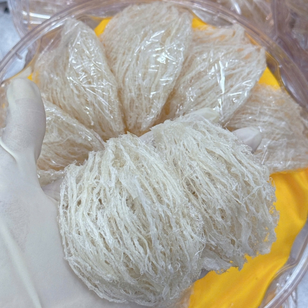 Yến Tinh Chế 2 Lớp Sợi – Sạch Tinh Khiết, Giữ Nguyên Dinh Dưỡng – Nhận Cung Cấp Yến Thô Theo Yêu Cầu