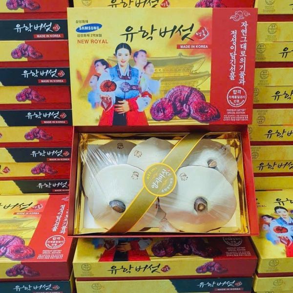 Nấm Linh Chi Cô Gái Hàn Quốc Hộp 1kg Samsung | Chính Hãng Nhập Khẩu Từ Hàn Quốc