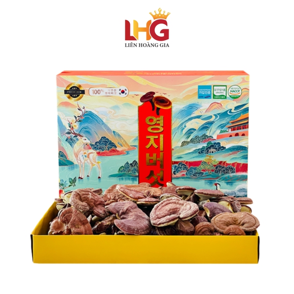 Nấm Linh Chi Tiến Vua (Hộp Gỗ 1kg) – Thương Hiệu MUGUNGHWA