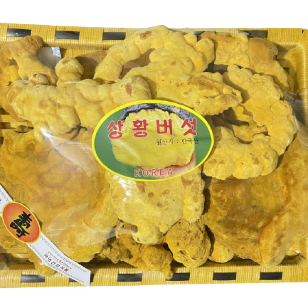 Nấm Thượng Hoàng Hàn Quốc Chính Hãng – Hỗ Trợ Miễn Dịch, Bồi Bổ Sức Khỏe