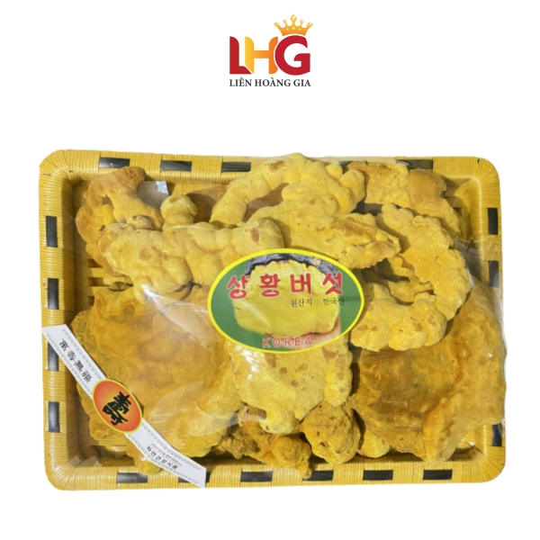 Nấm Thượng Hoàng Hàn Quốc (Phellinus Linteus) – Nhập Khẩu Chính Hãng