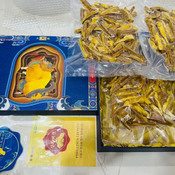 Nấm Thượng Hoàng Royal Plus - 500g