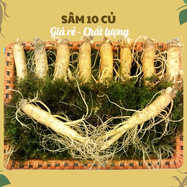 Nhân Sâm Củ Tươi Hàn Quốc Loại 10 Củ/Kg: Giải Pháp Dinh Dưỡng Hàng Ngày Siêu Tiết Kiệm