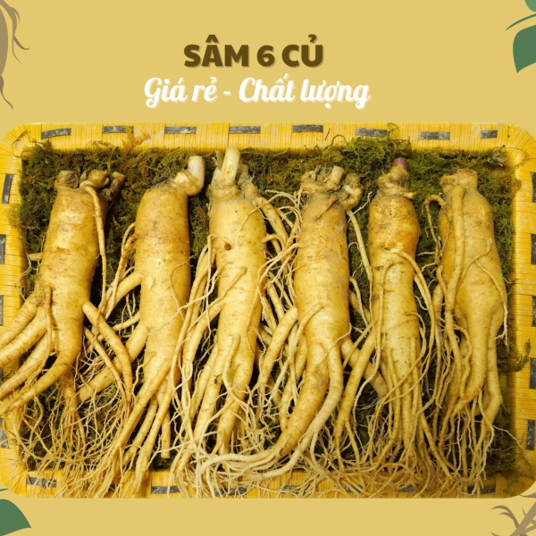 Nhân Sâm Củ Tươi Hàn Quốc Loại 6 Củ/Kg: Lựa Chọn Giá Tốt Nhất Để Dùng Hàng Ngày