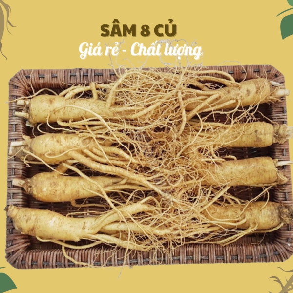 Nhân Sâm Củ Tươi Hàn Quốc Loại 8 Củ/Kg: Giải Pháp Bồi Bổ Tiết Kiệm, Tươi Mới Hàng Ngày