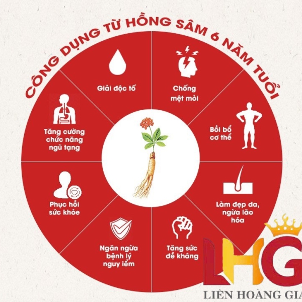 Nước Hồng Sâm WON KGC 70ml x 30 Gói – Tăng Cường Sinh Lực, Chính Hãng Hàn Quốc