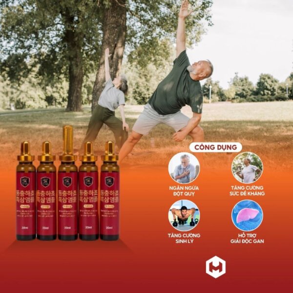 Tinh Chất Hắc Sâm Đông Trùng Ginseng King 30 Ống x 20ml – Bồi Bổ Sức Khỏe Toàn Diện
