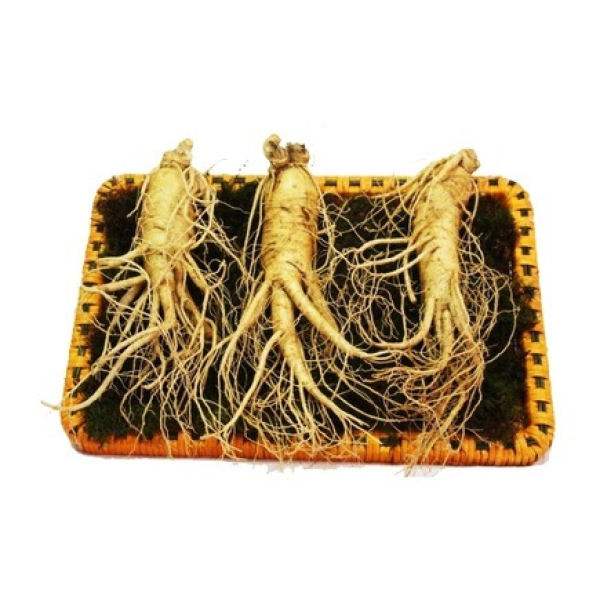Nhân Sâm Củ Tươi Hàn Quốc Loại 3 Củ/Kg: Bí Quyết Tăng Cường Sức Khỏe Tươi Mới Mỗi Ngày