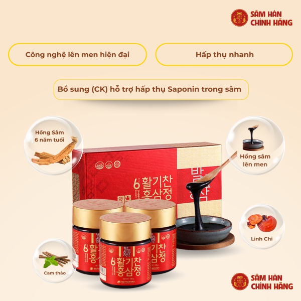 Cao Hồng Sâm Lên Men Daedong Korea Ginseng (Hộp 3 Lọ x 100g) - Giải pháp dưỡng sinh chuyên sâu giúp bồi bổ thể trạng, tăng sức đề kháng.
