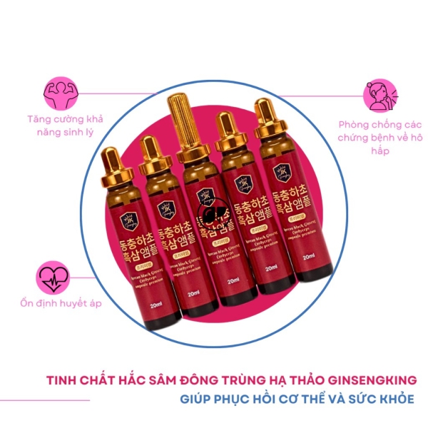 Tinh Chất Hắc Sâm Đông Trùng Ginseng King 30 Ống x 20ml – Bồi Bổ Sức Khỏe Toàn Diện