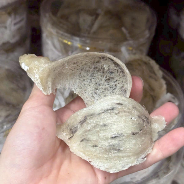 Yến Thô Nguyên Tổ – 100% Tổ Yến Tự Nhiên, Nguyên Chất, Nhận Cung Cấp Theo Yêu Cầu