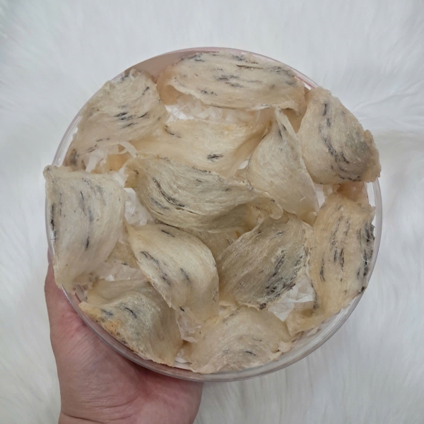 Yến Thô Nguyên Tổ Đẹp Nha Trang Khánh Hòa – 100% Tự Nhiên, Nguyên Chất, Giá Trị Cao