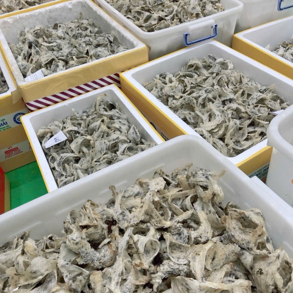 Yến Thô Nguyên Tổ – 100% Tổ Yến Tự Nhiên, Nguyên Chất, Nhận Cung Cấp Theo Yêu Cầu