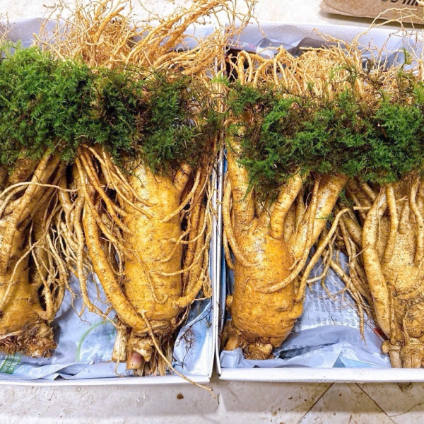 Nhân Sâm Củ Tươi Hàn Quốc Loại 2 Củ/Kg: Thượng Phẩm Bồi Bổ Nhập Khẩu Tươi Mới Mỗi Ngày