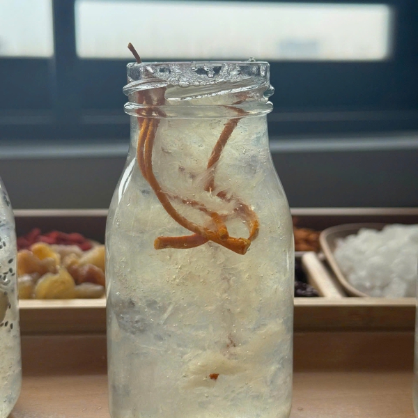 Yến Hũ Chưng Thủ Công – Hũ 70ml & 200ml – Đường Phèn, Đông Trùng, Tứ Vị – Quà Tặng Sức Khỏe Cao Cấp