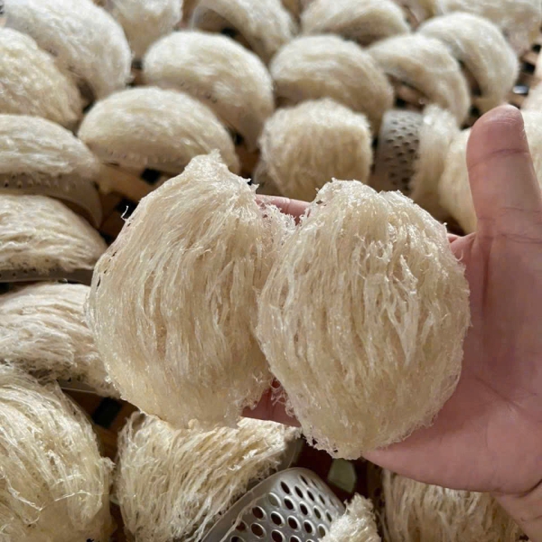 Yến Rút Lông Loại 1 Nha Trang Khánh Hòa – Tổ Yến Nguyên Chất, Cao Cấp