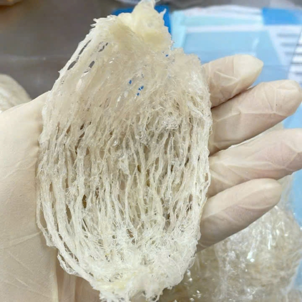 Yến Rút Lông Xương (100% Sợi) – Sạch Tinh Khiết, Giữ Trọn Dinh Dưỡng