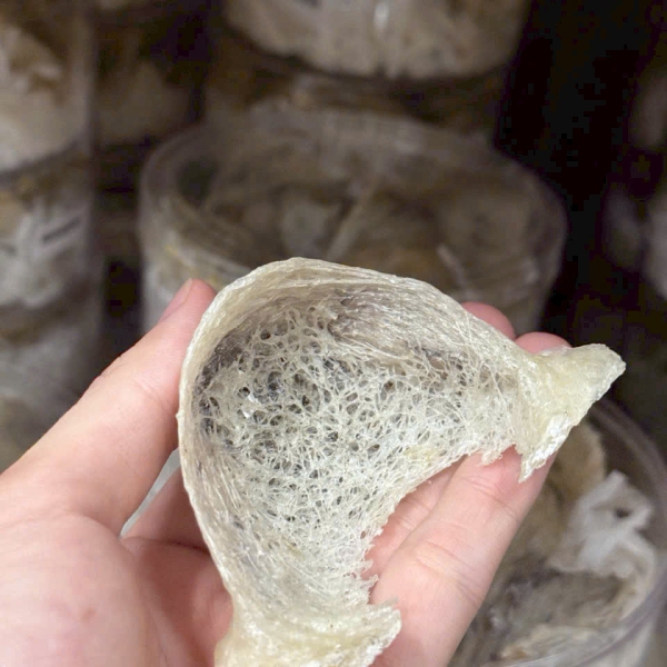 Yến Thô Nguyên Tổ – 100% Tổ Yến Tự Nhiên, Nguyên Chất, Nhận Cung Cấp Theo Yêu Cầu