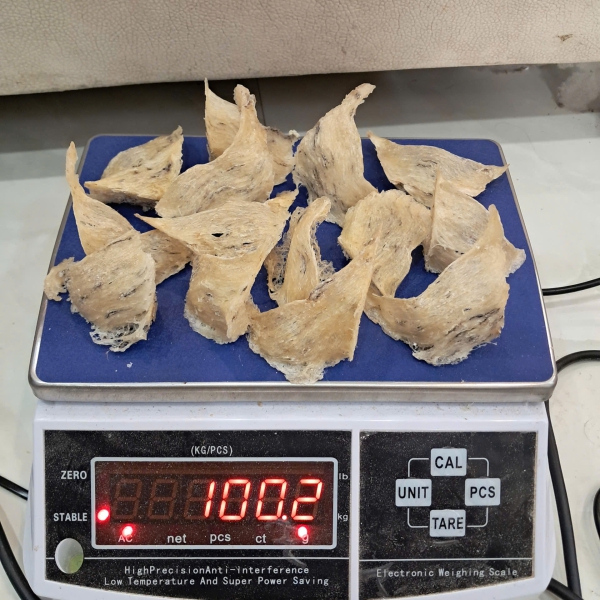 Yến Thô Nguyên Tổ Góc Đẹp Nha Trang Khánh Hòa – 100% Nguyên Chất, Sang Trọng, Dinh Dưỡng Cao