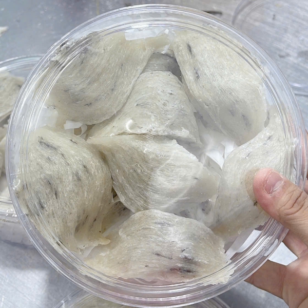 Yến Thô Nguyên Tổ – 100% Tổ Yến Tự Nhiên, Nguyên Chất, Nhận Cung Cấp Theo Yêu Cầu