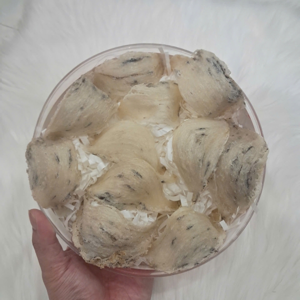 Yến Thô Nguyên Tổ Đẹp Nha Trang Khánh Hòa – 100% Tự Nhiên, Nguyên Chất, Giá Trị Cao