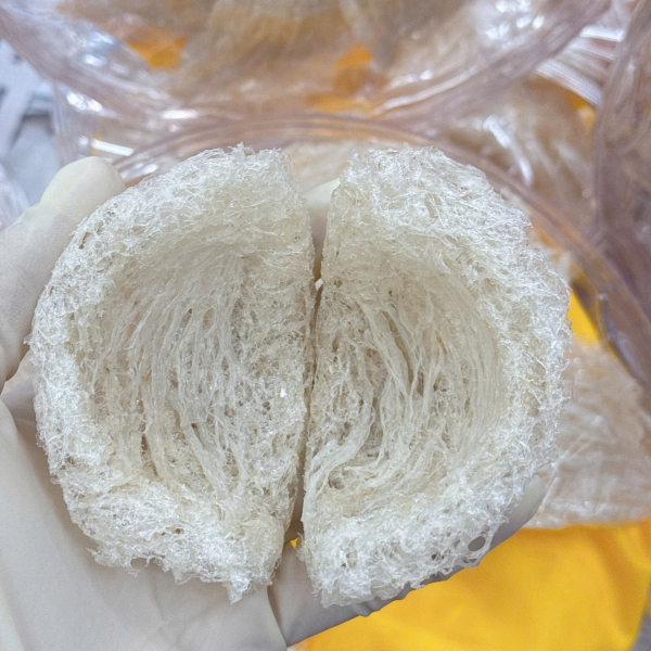 Yến Tinh Chế 2 Lớp Sợi – Sạch Tinh Khiết, Giữ Nguyên Dinh Dưỡng – Nhận Cung Cấp Yến Thô Theo Yêu Cầu