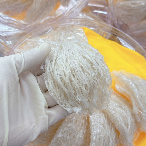 Yến Tinh Chế 2 Lớp Sợi – Sạch Tinh Khiết, Giữ Nguyên Dinh Dưỡng – Nhận Cung Cấp Yến Thô Theo Yêu Cầu