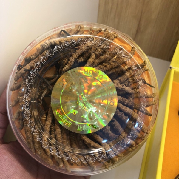 Đông trùng hạ thảo Tây Tạng