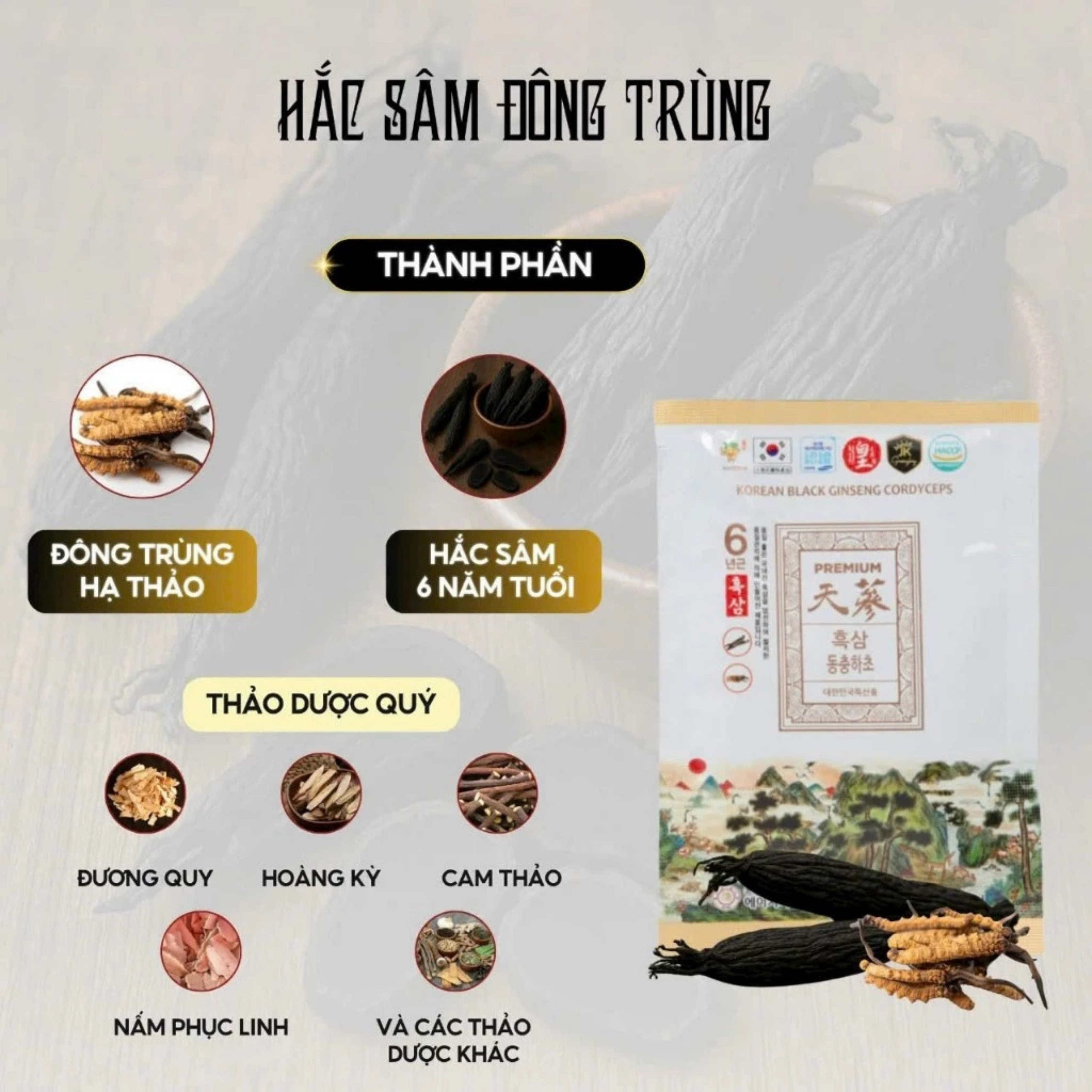 Sự kết hợp giữa hắc sâm thượng hạng và đông trùng hạ thảo Militaris trong sản phẩm HG Bio