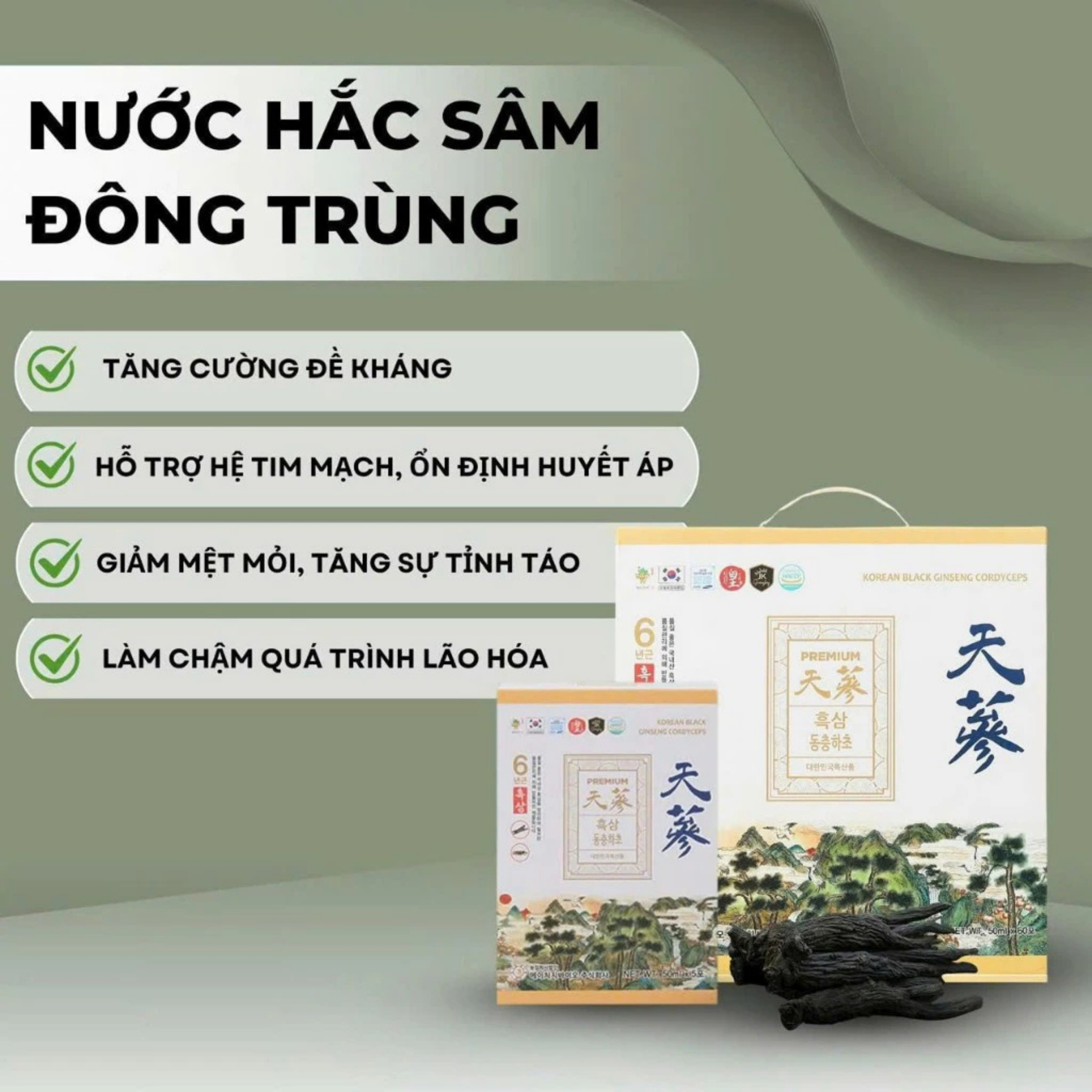 Nước hắc sâm đông trùng HG Bio hỗ trợ ổn định huyết áp và tim mạch