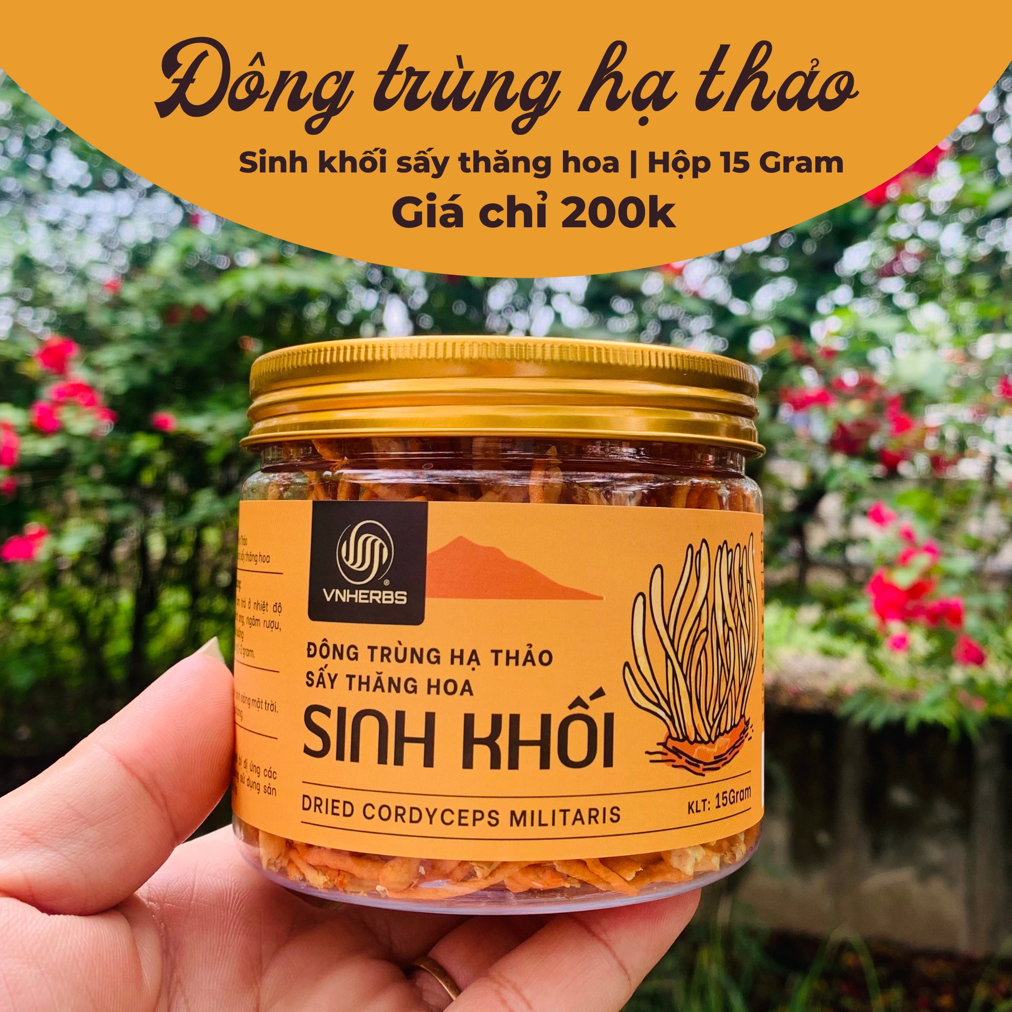 Hộp Đông Trùng Hạ Thảo sấy thăng hoa 15g sang trọng, cao cấp