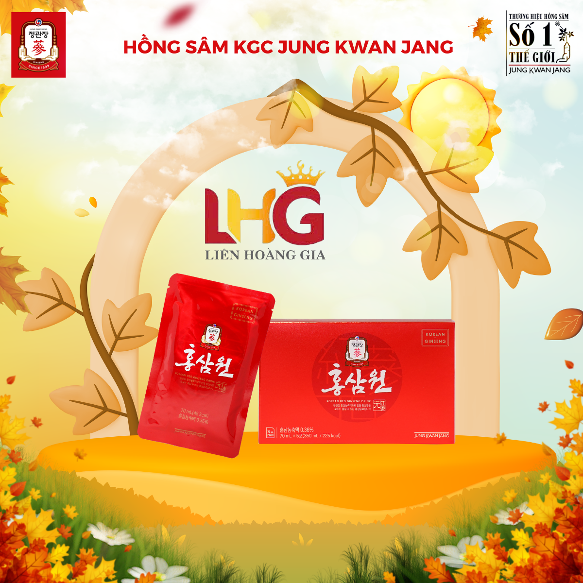 Hướng dẫn sử dụng Nước Hồng Sâm Won KGC 70ml x 30 Gói