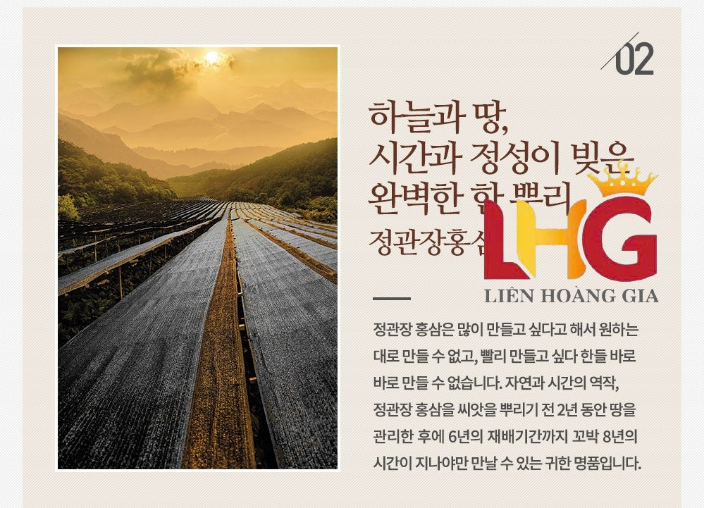 KGC Thọ Phúc Khang Ninh – lựa chọn quà tặng đẳng cấp