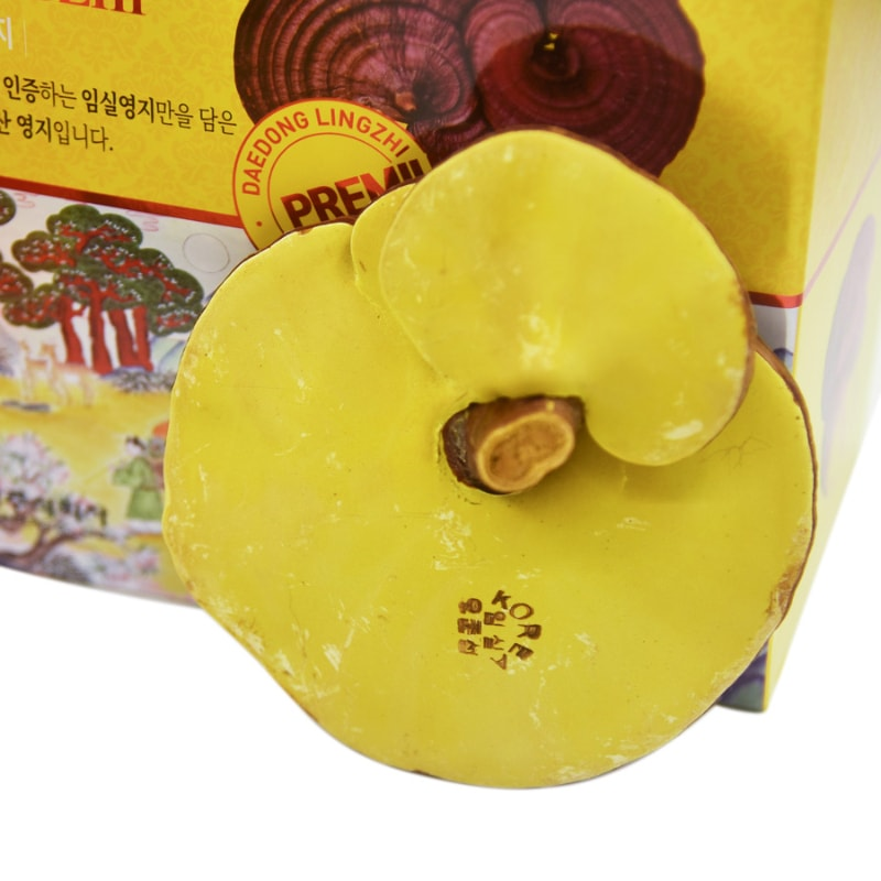 Nấm Linh Chi Daedong hộp 1000g quà biếu cao cấp ý nghĩa