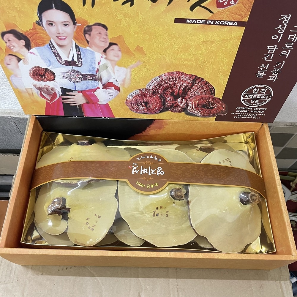 Hộp quà Nấm Linh Chi Cô Gái Hàn Quốc sang trọng