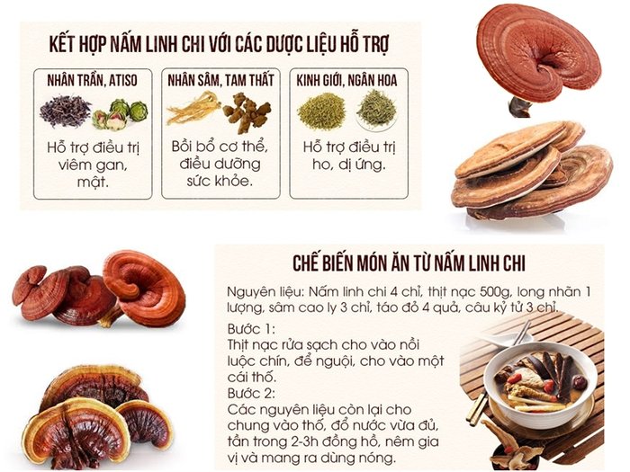 Công dụng Nấm Linh Chi Thái Lát Youngji tăng cường sức khỏe