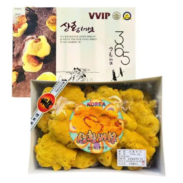 Nấm Thượng Hoàng Hàn Quốc chống oxy hóa, ngăn lão hóa