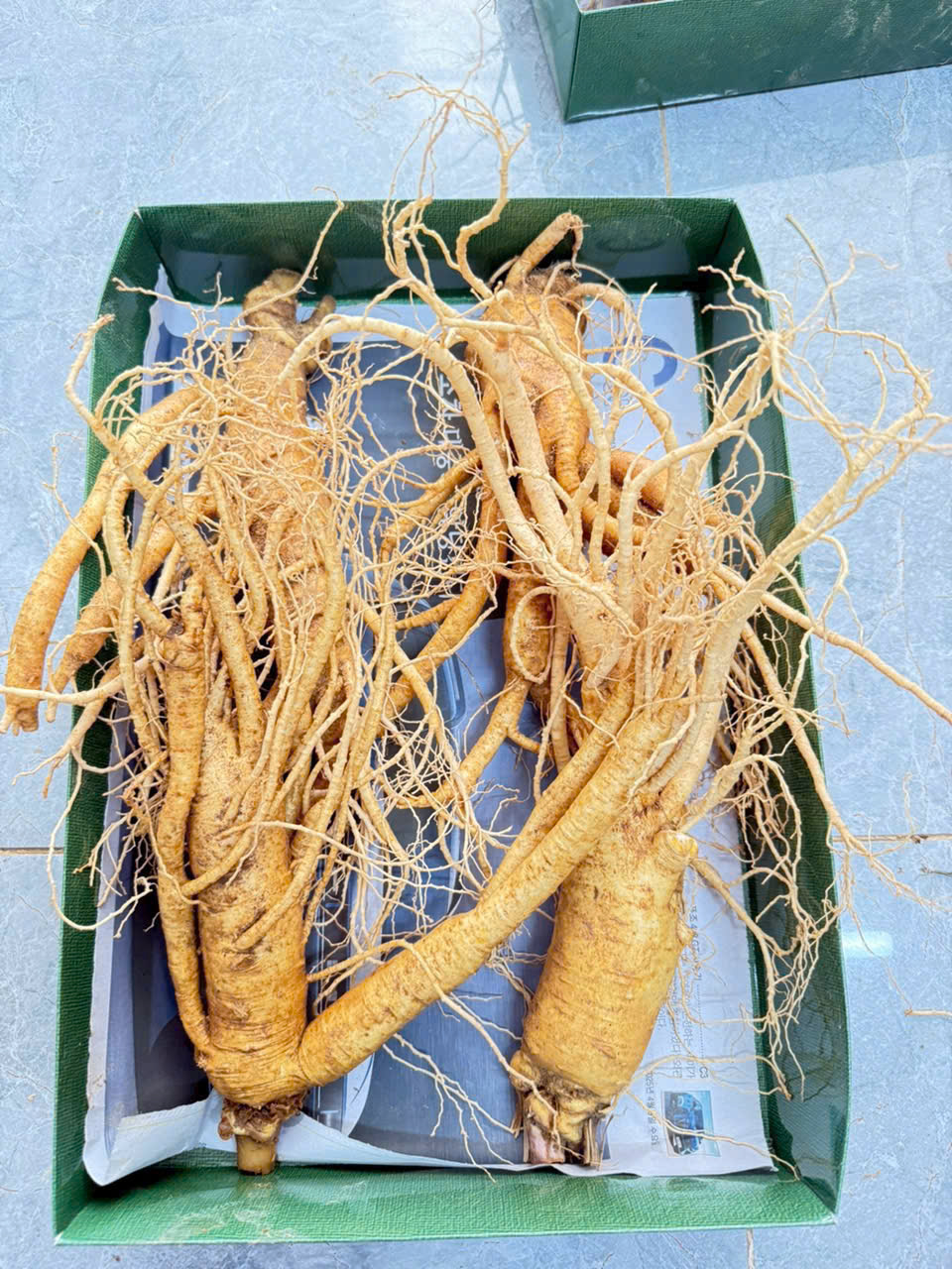 Nhân sâm tươi Hàn Quốc loại 4 củ/kg dùng để chế biến món ăn bổ dưỡng