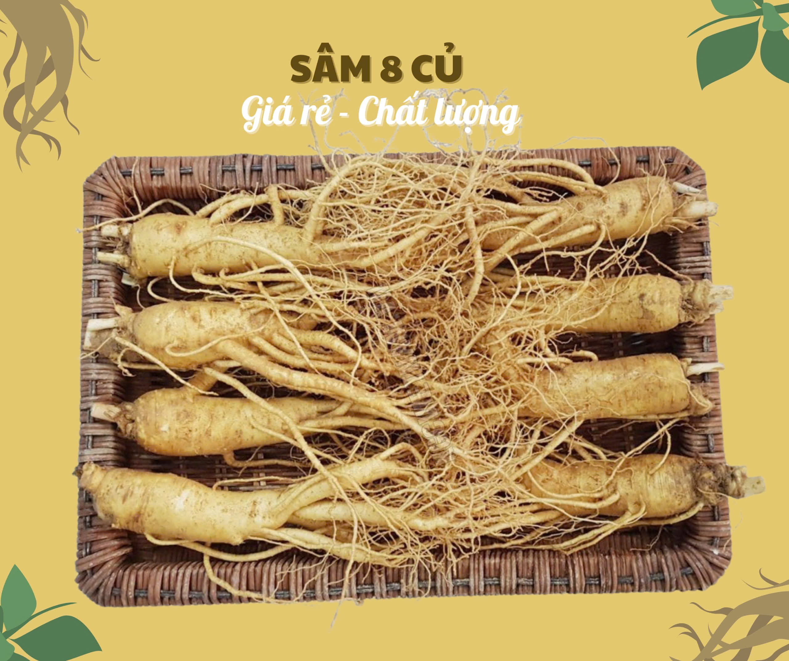 Nhân sâm củ tươi Hàn Quốc loại 8 củ/kg, giá siêu tiết kiệm